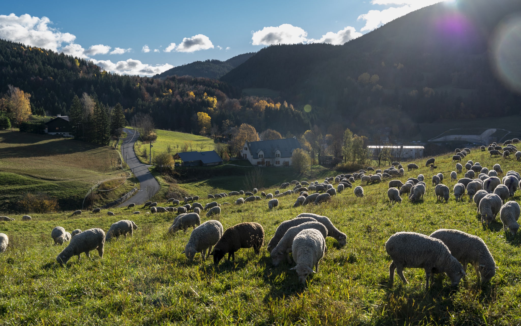 PAiT Grenoble | Visite de la Ferme de la Crécia – A Tout Bout d’Champ