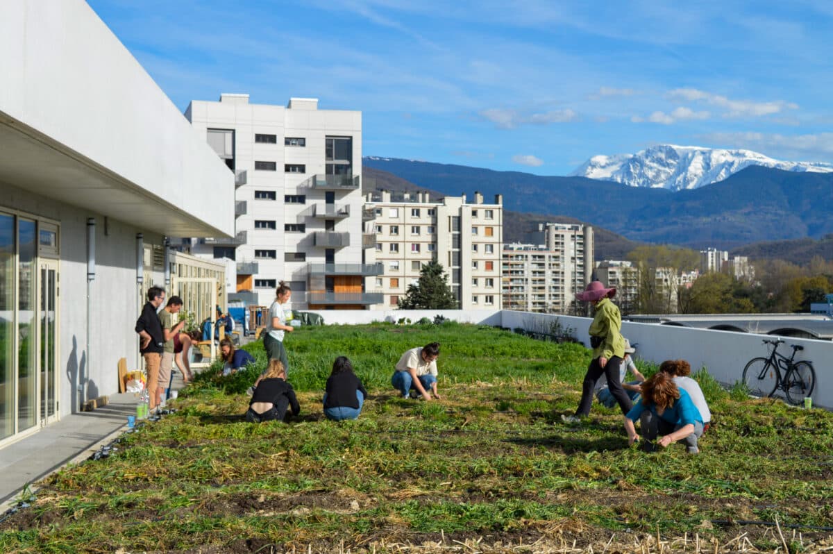 PAiT Grenoble | Permanence jardin au Bar Radis ! Régénération du sol