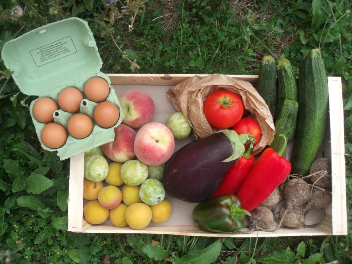 PAiT Grenoble | Portes ouvertes – Distribution de paniers de produits locaux à Echirolles