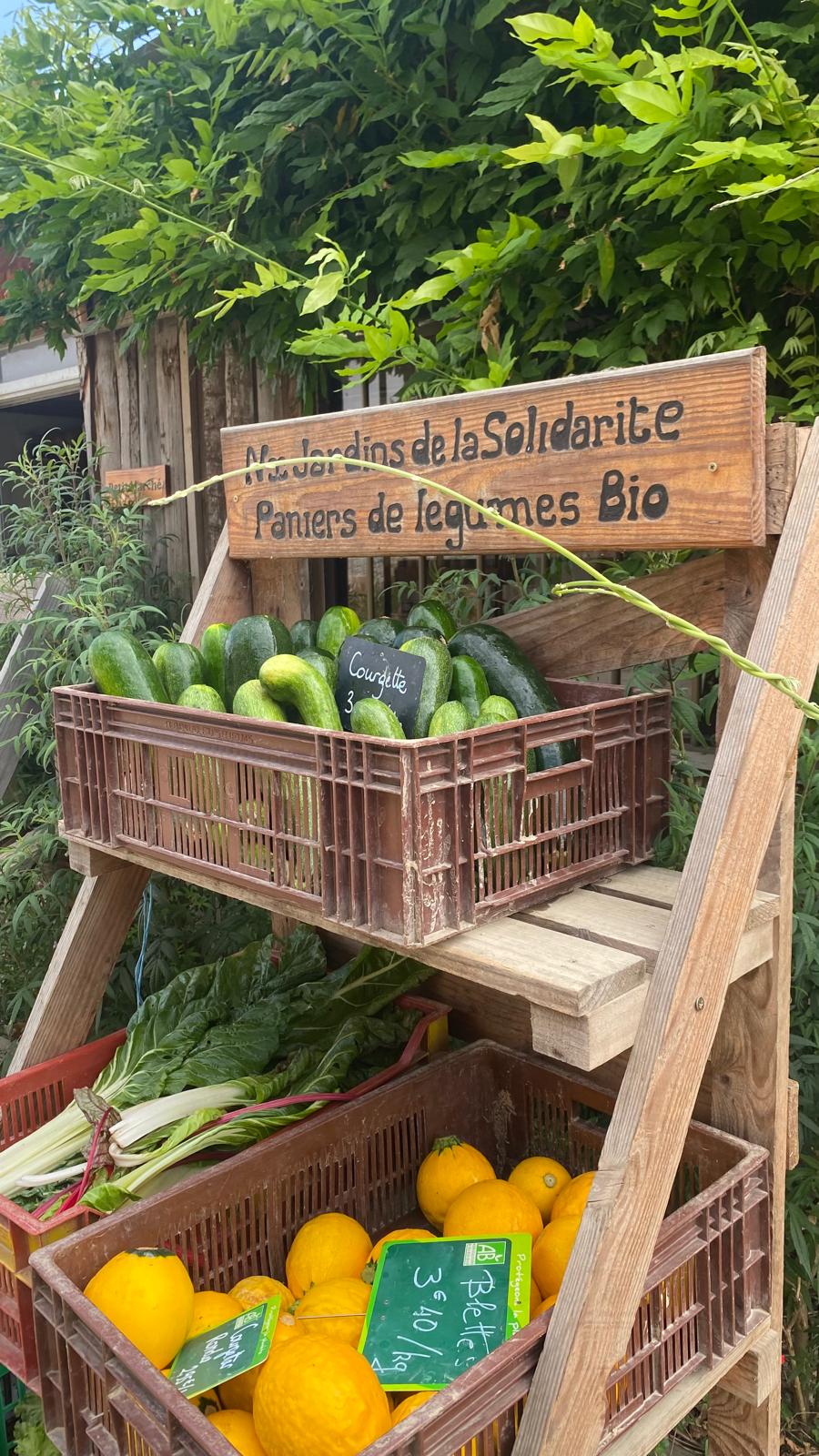 PAiT Grenoble | Journée Portes Ouvertes aux Nouveaux Jardins de la Solidarité