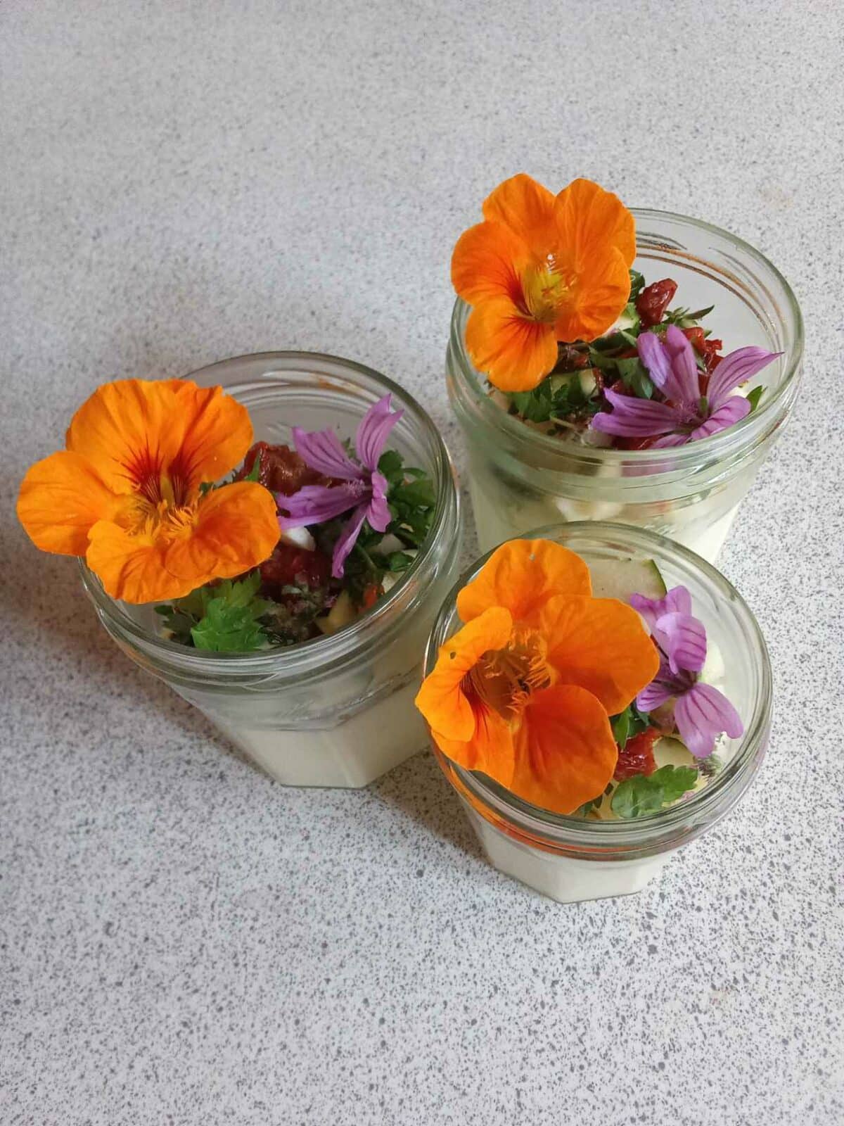 PAiT Grenoble | ATELIER PLANTES COMESTIBLES