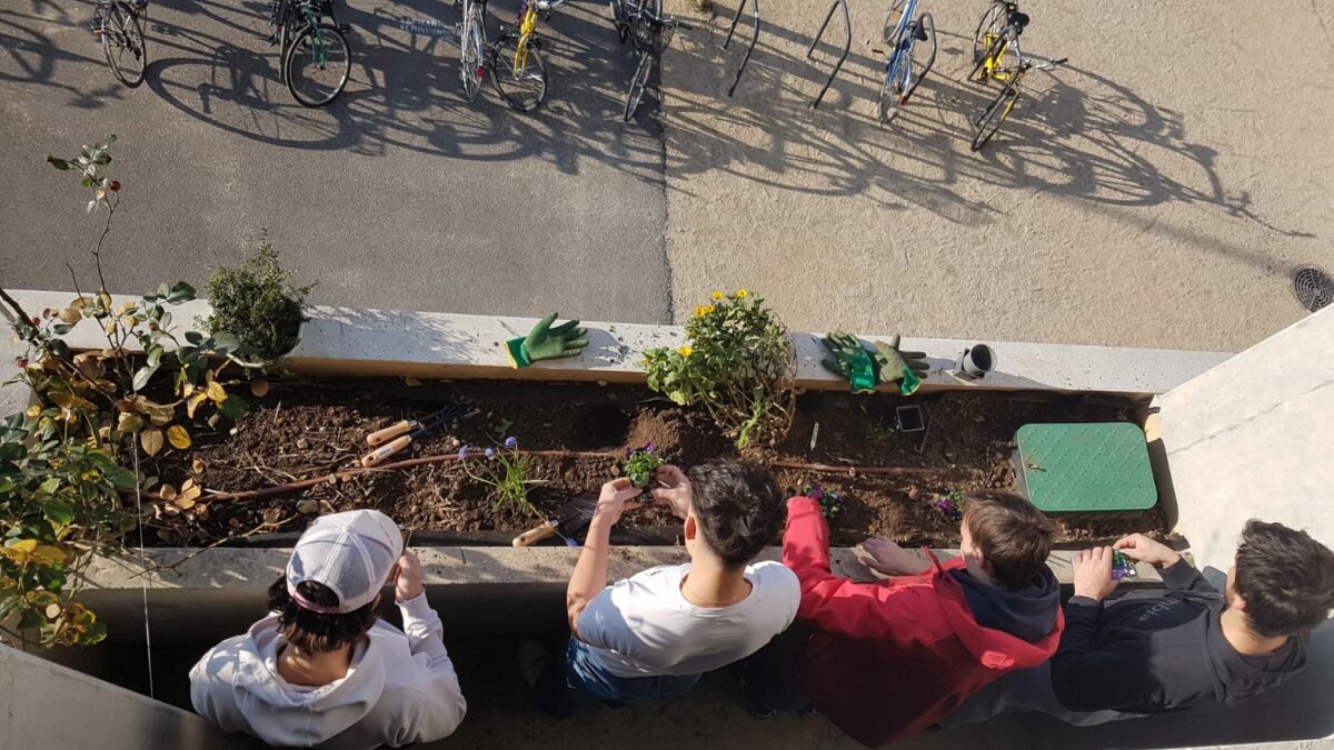 PAiT Grenoble | Permanence Jardin au Bar Radis – Faire son potager de Balcon