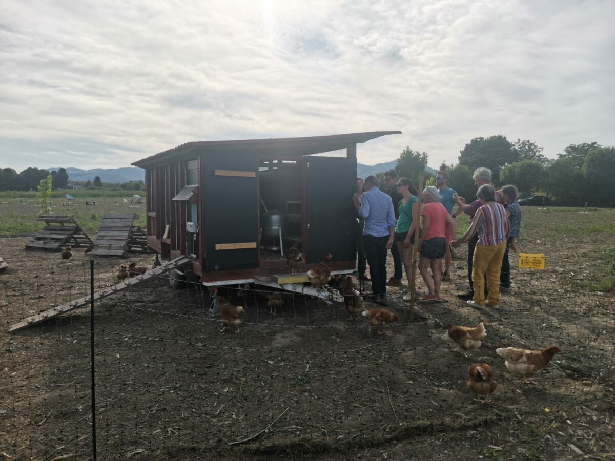 PAiT Grenoble | Portes ouvertes à la ferme de la forêt fruitière