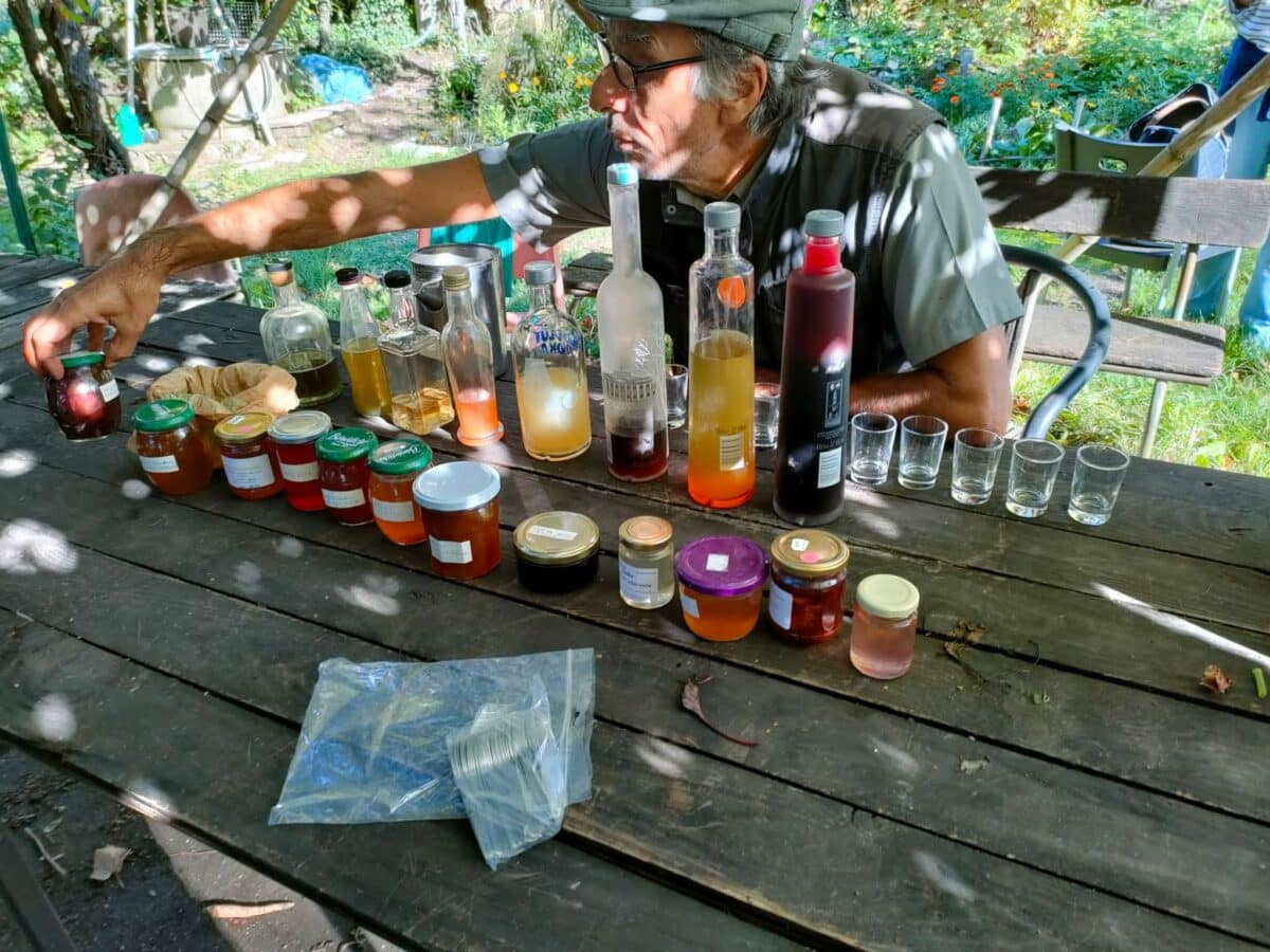 PAiT Grenoble | Dégustation produits de la nature comestible urbaine
