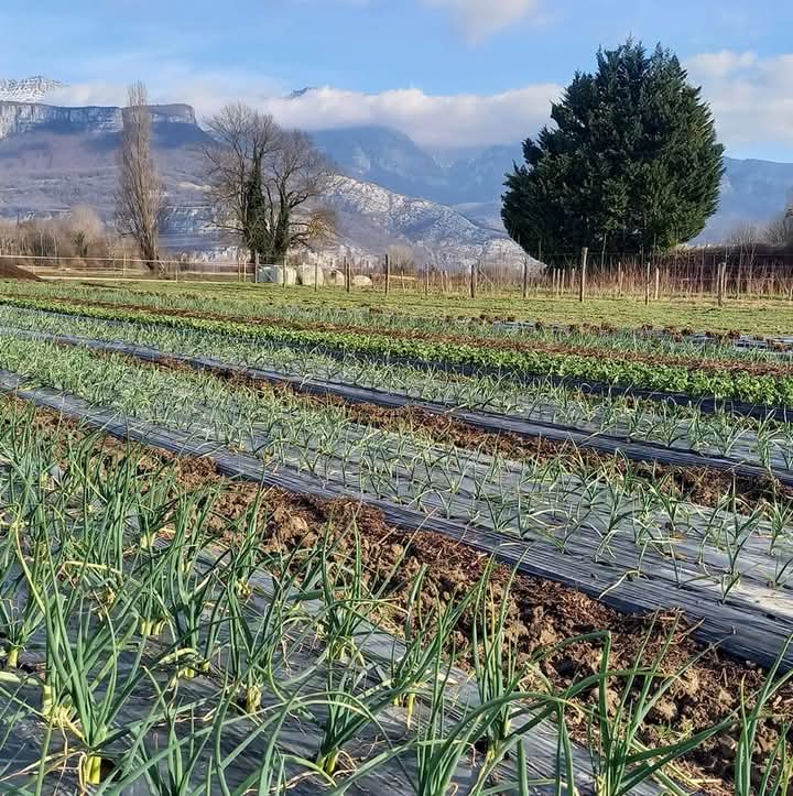 PAiT Grenoble | Portes ouvertes Paysannes au GAEC La Amapola