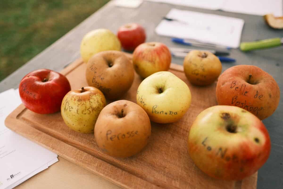 PAiT Grenoble | Porte ouverte à la Pépinière « Des Racines et Des Fruits »