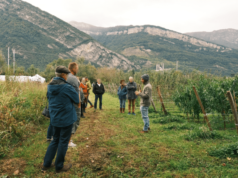 PAiT Grenoble | Porte ouverte à la Pépinière « Des Racines et Des Fruits »