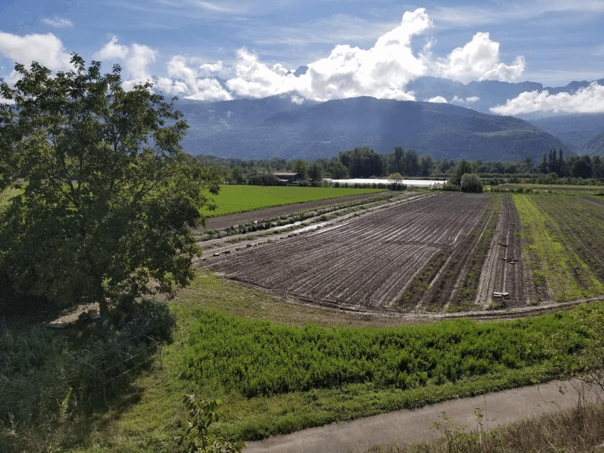 PAiT Grenoble | Visite du GAEC Le Jardin Déterre à Montbonnot Saint Martin