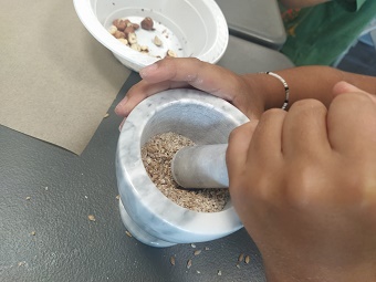 PAiT Grenoble | L’alimentation au Néolithique : visite et atelier « Popote Néo »