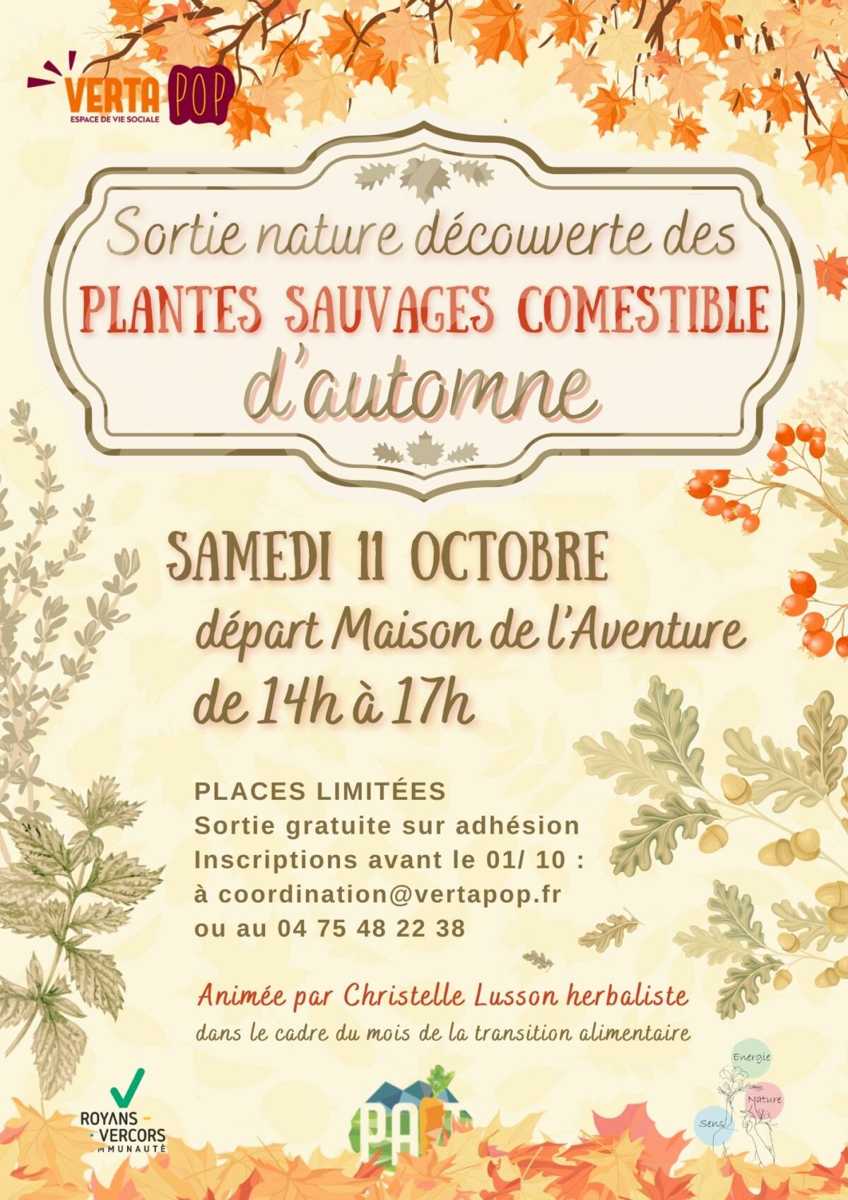 PAiT Grenoble | Sortie nature découverte des plantes sauvages comestibles d’automne