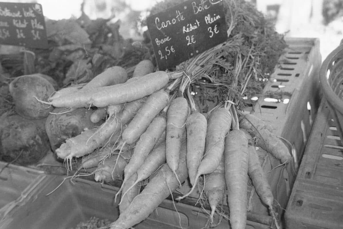 PAiT Grenoble | EXPOSITION FAIM DU MOI