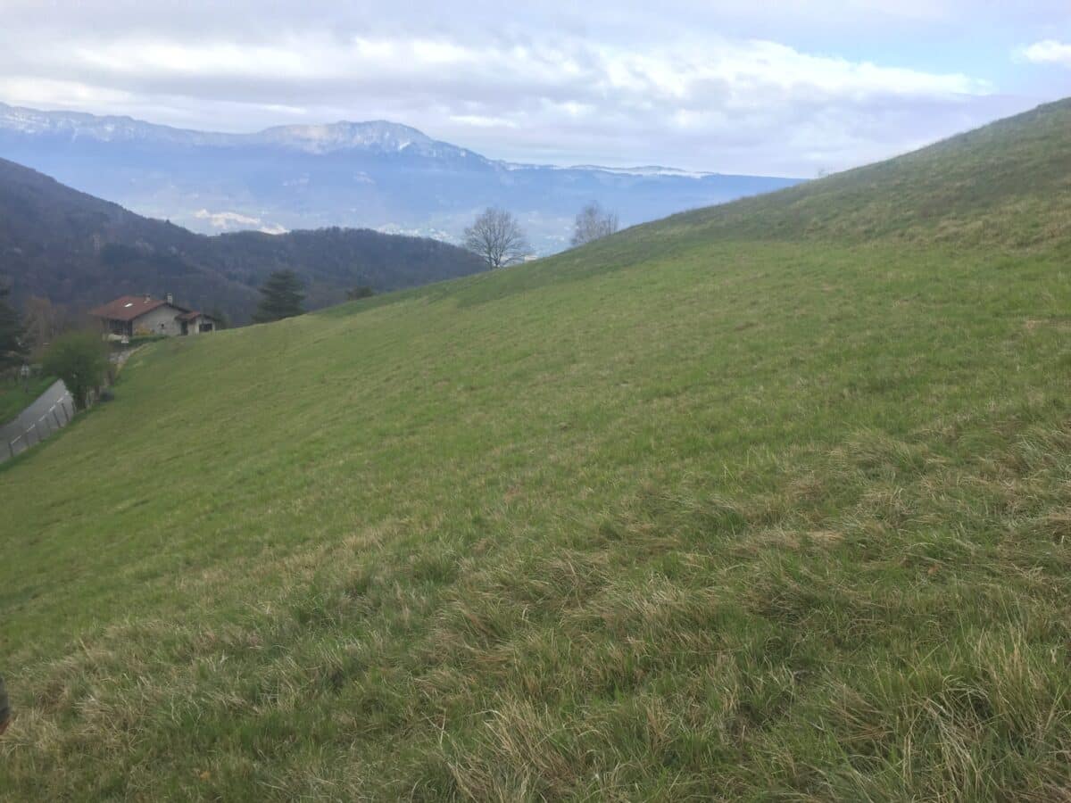 PAiT Grenoble | Sécuriser son système de pâturage grâce au pelouses sèches en préservant leur biodiversité