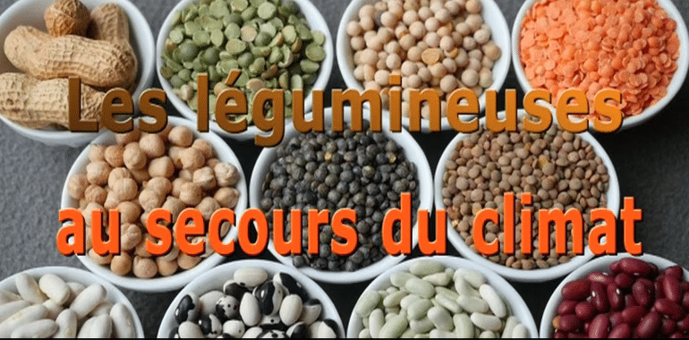 PAiT Grenoble | Les légumineuses au secours du climat! Projection et débat.