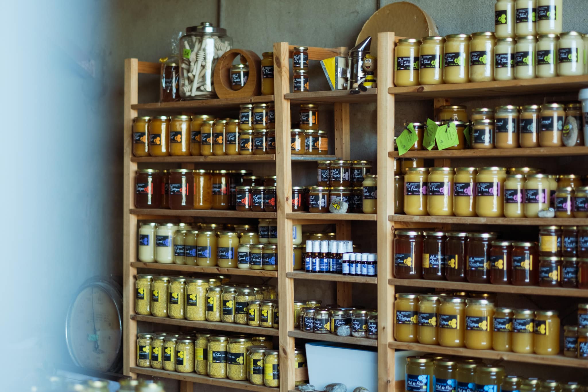 PAiT Grenoble | Atelier « à la découverte du monde des abeilles » à la Ferme Champ Chabert