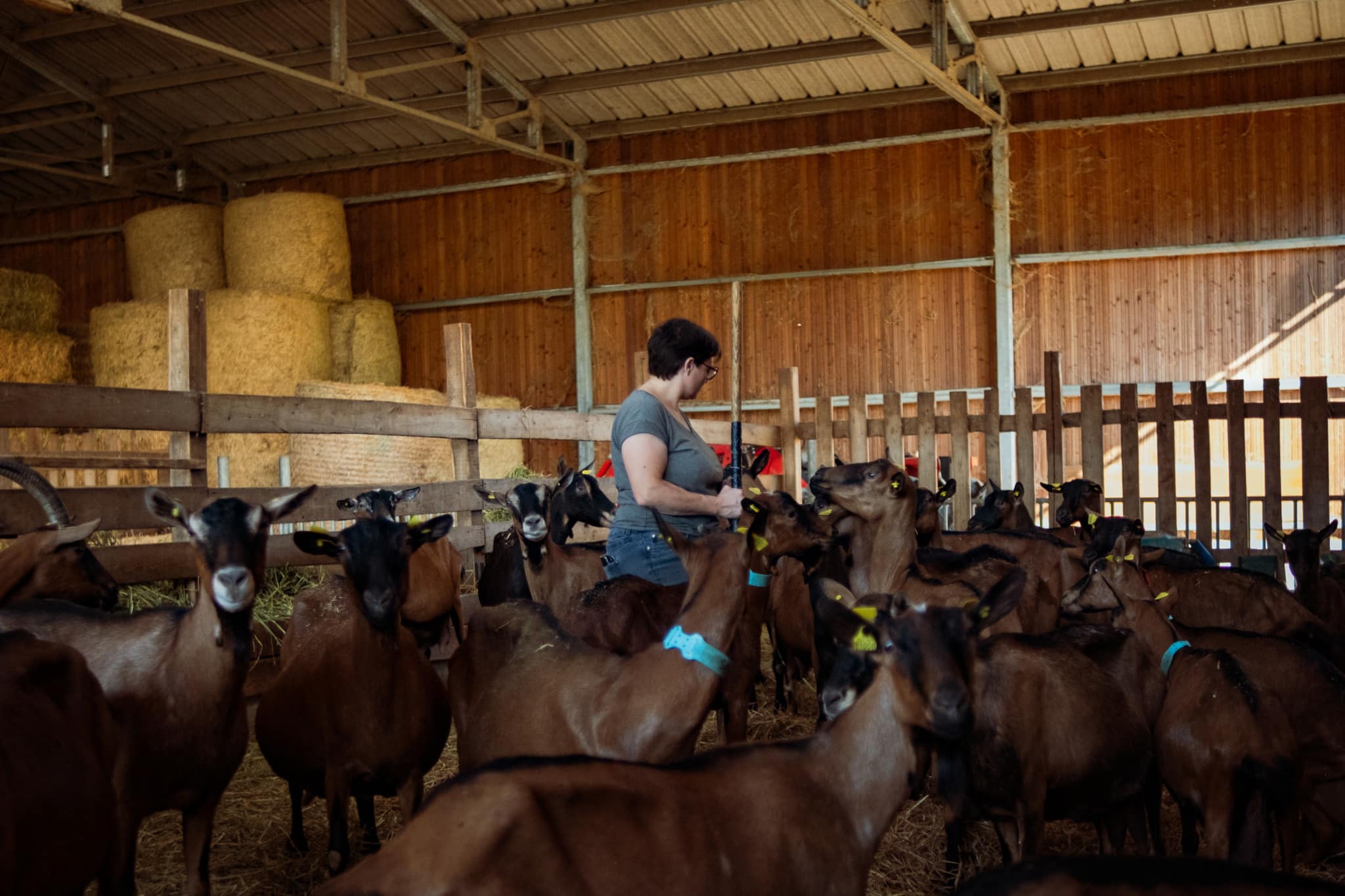 PAiT Grenoble | Portes ouvertes à la Ferme de Galerne