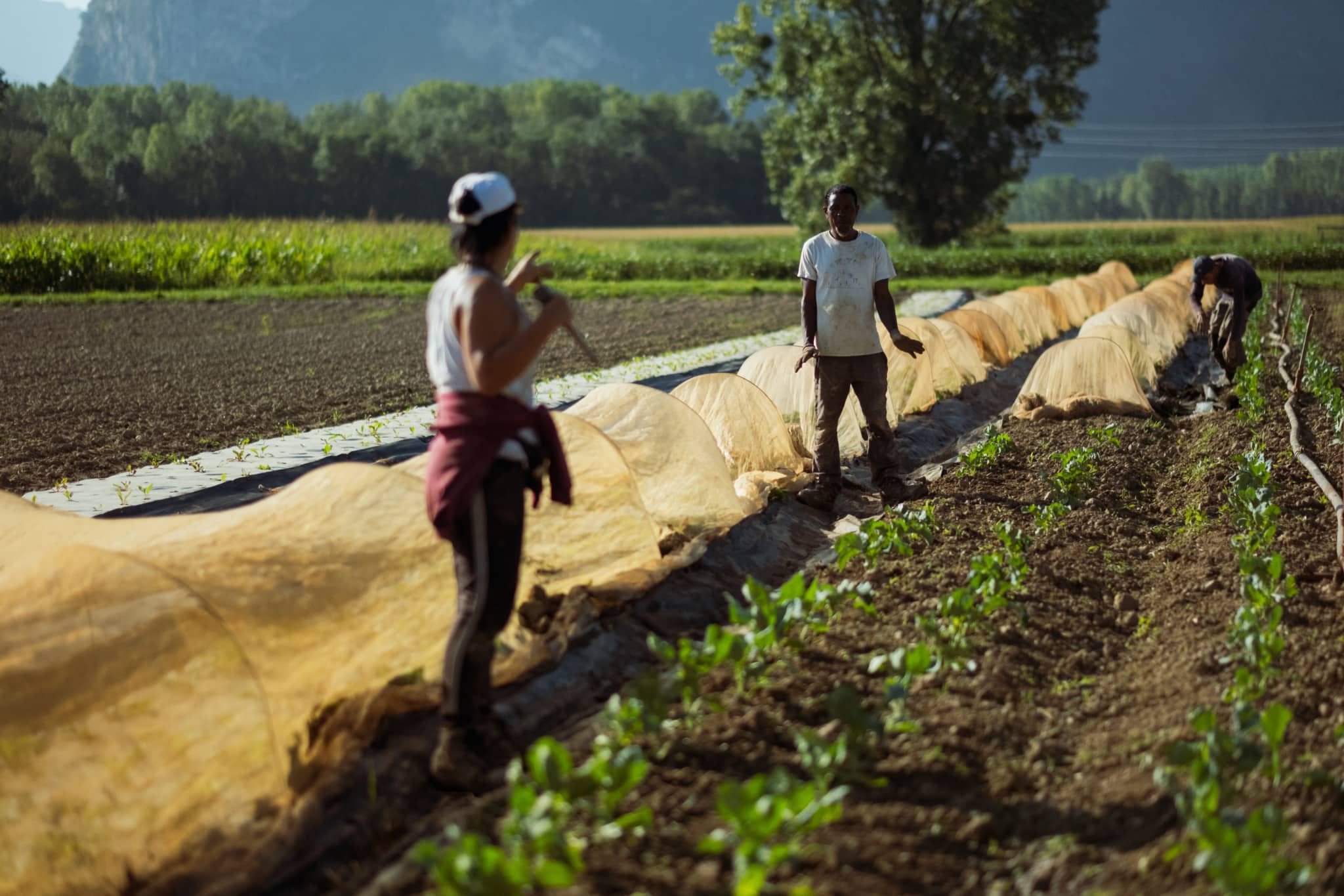 PAiT Grenoble | Ferme ouverte Les Nouveaux Jardins de la Solidarité, Nature et Saveurs de notre Jardin
