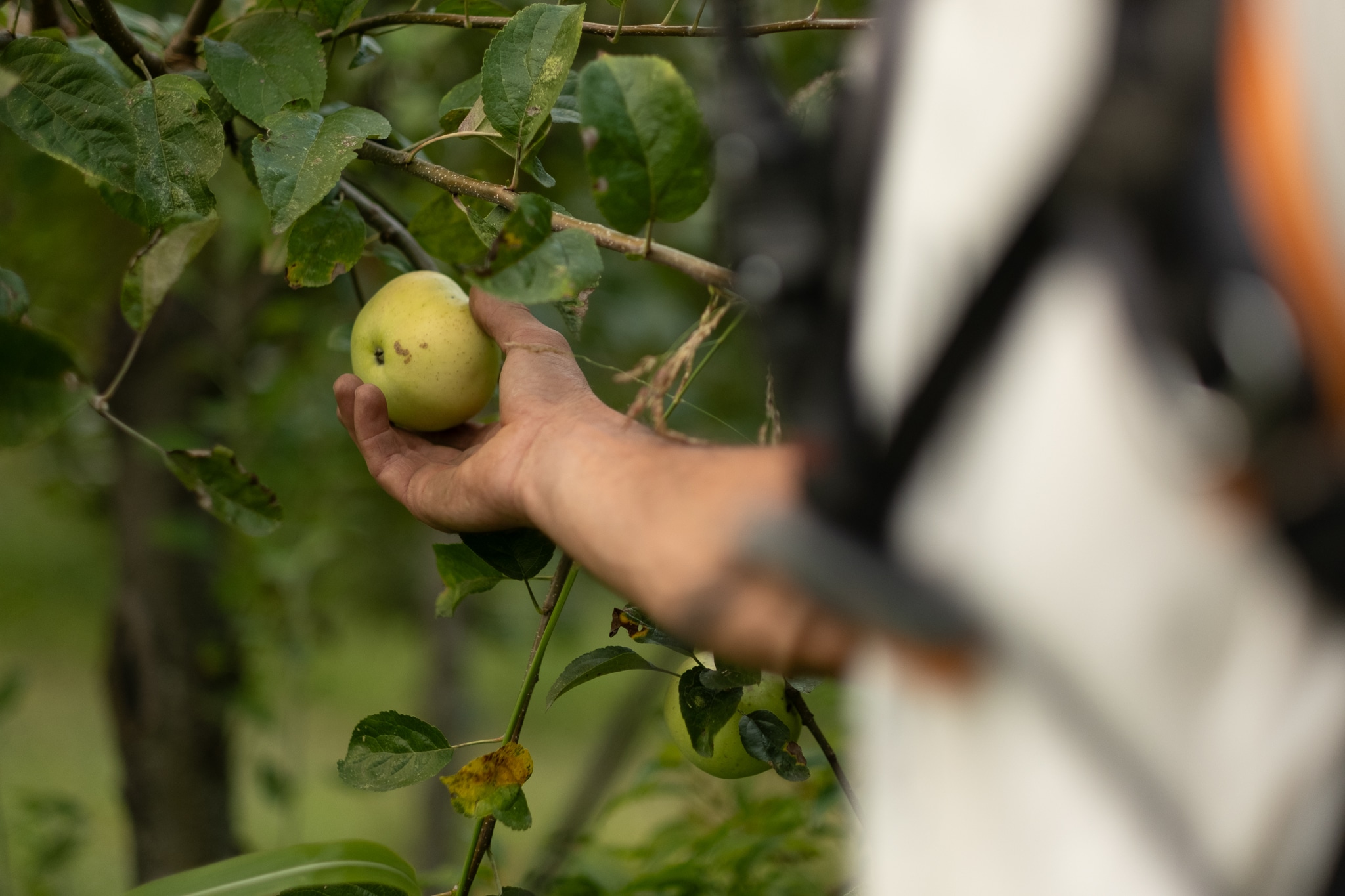 PAiT Grenoble | Vernissage et exposition photo « Mains nourricières, portraits d’agriculteurs et agricultrices du Voironnais »