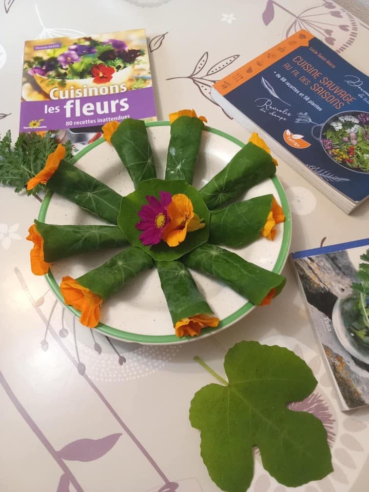 PAiT Grenoble | Atelier plantes comestibles
