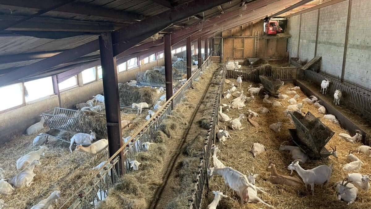 PAiT Grenoble | Journée Portes Ouvertes dans 2 fermes en expérimentation Bokaworm®