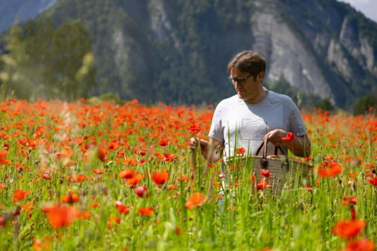 PAiT Grenoble | Plantes de montagne : comment les reconnaître, comprendre leurs arômes et les cuisiner ?